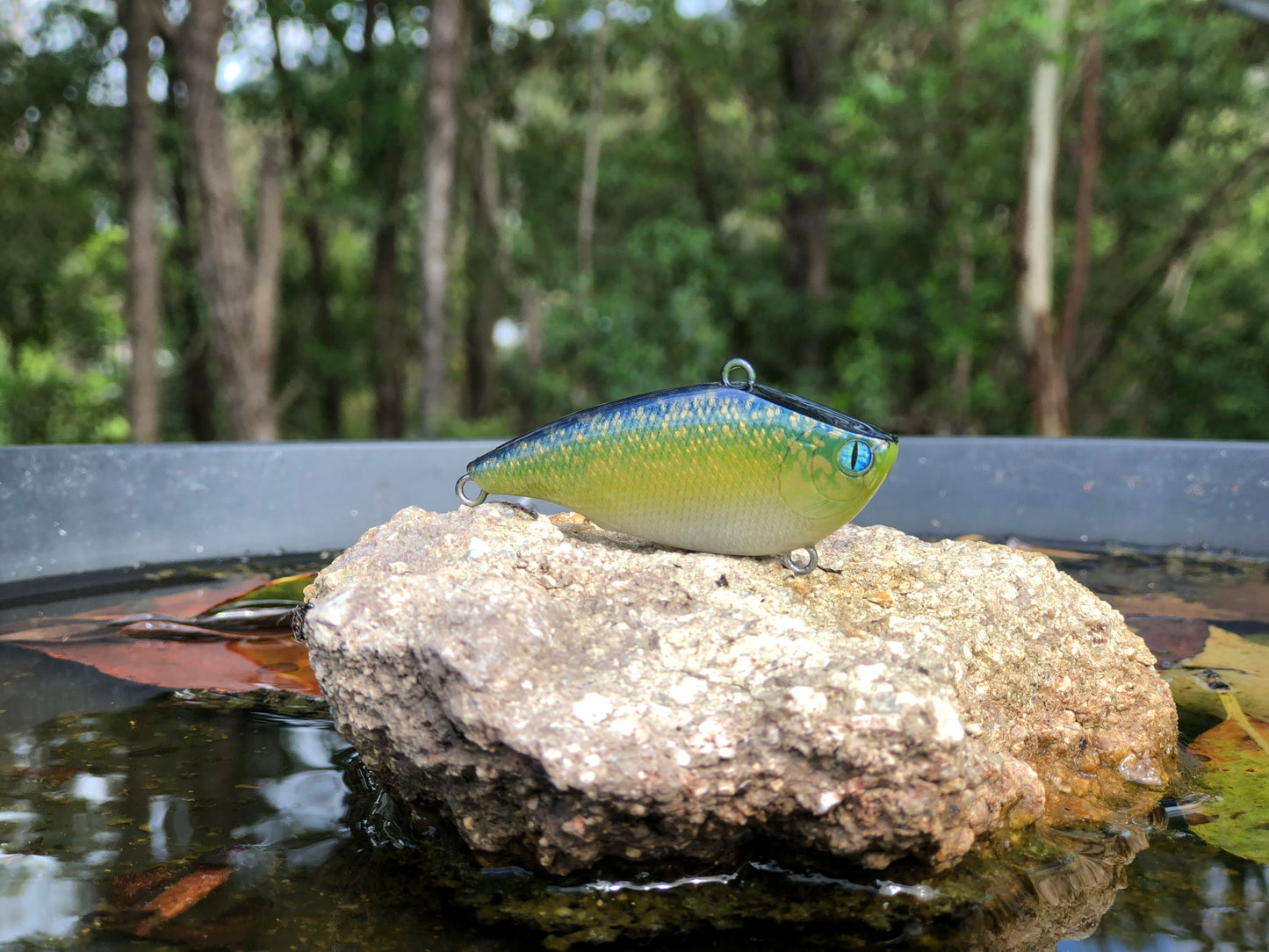 Custom Battle Paint Lures