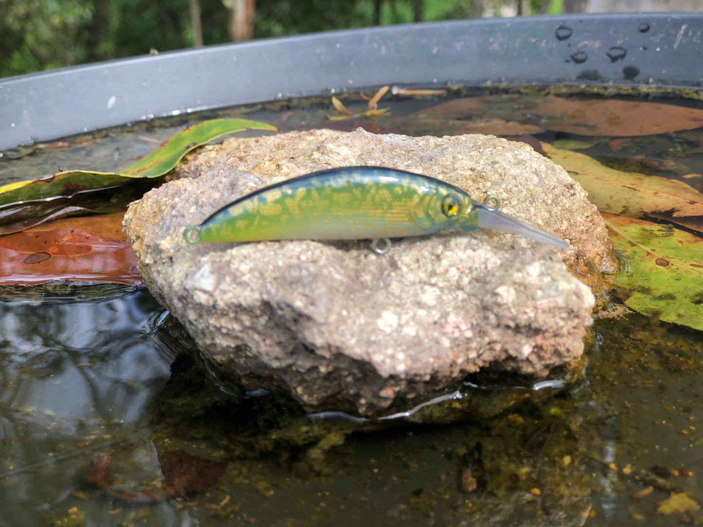 Custom Battle Paint Lures