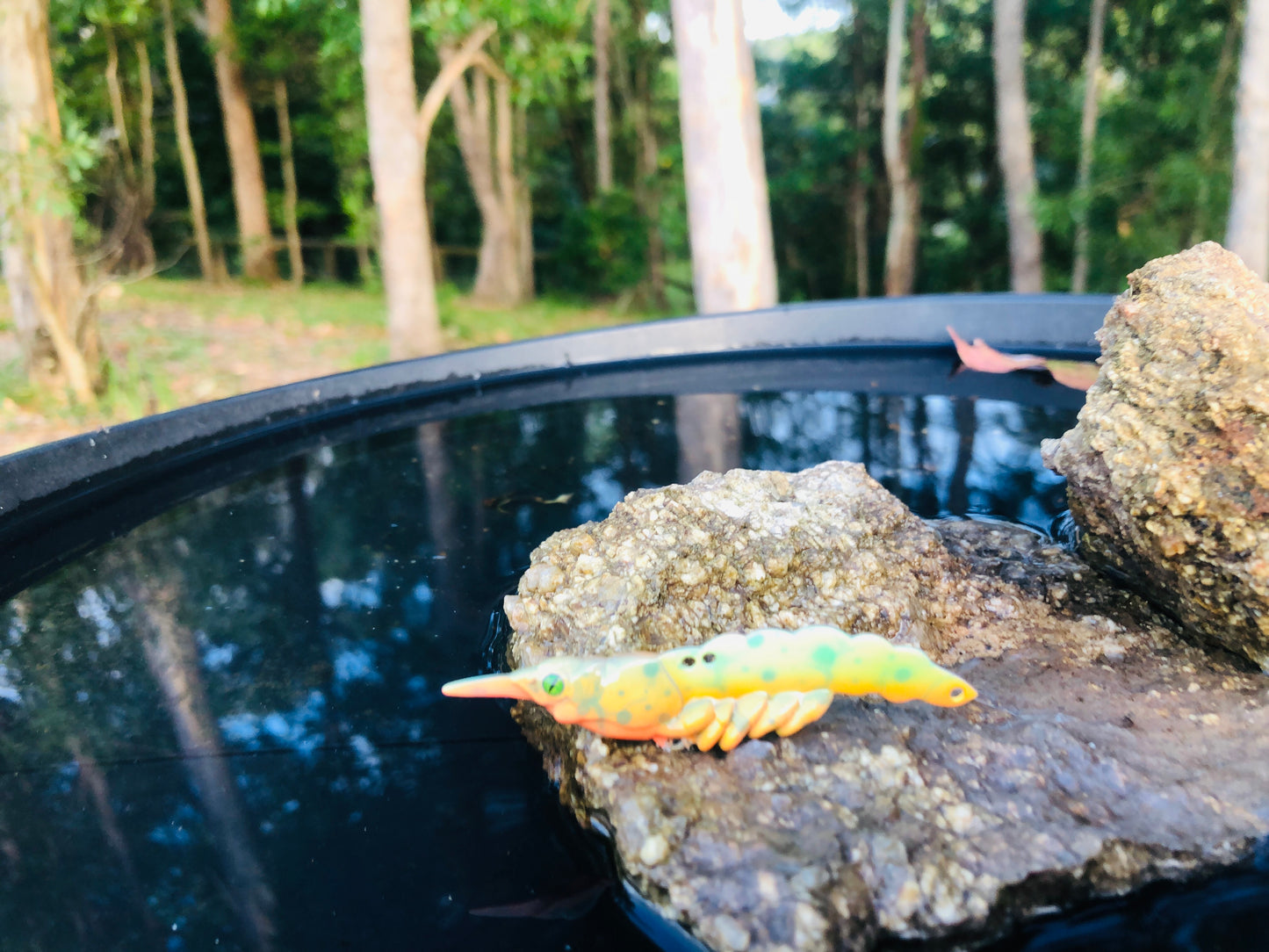 Busta Shrimp JIG VIBE