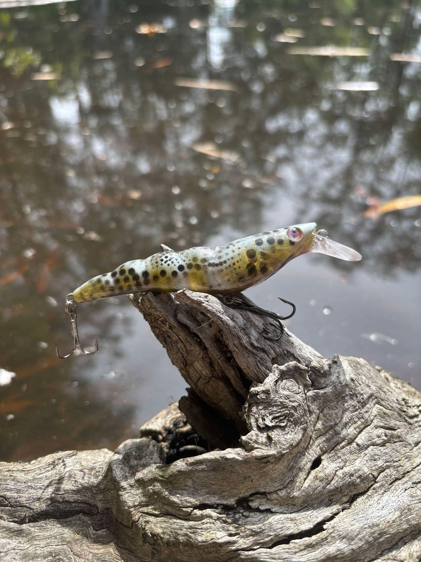 PREDATOR PRAWN
