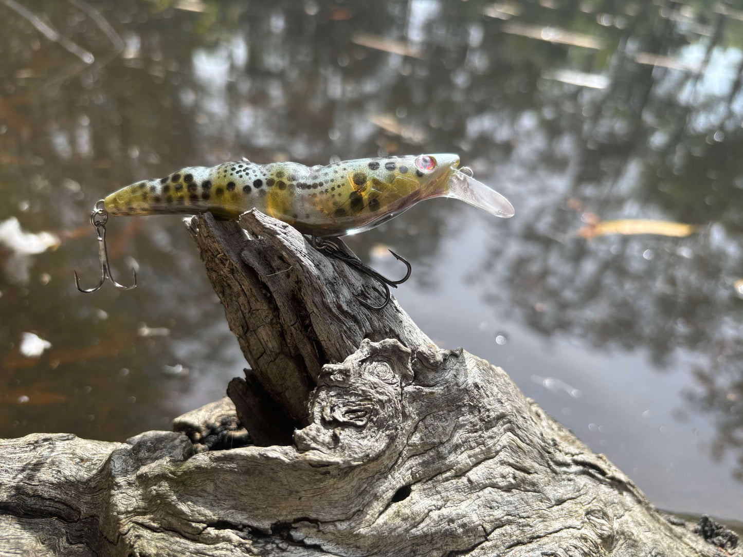 PREDATOR PRAWN