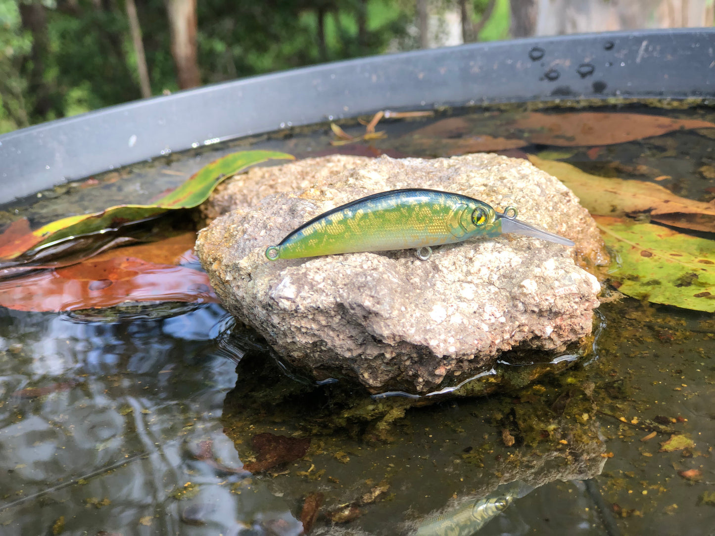 Custom Battle Paint Lures
