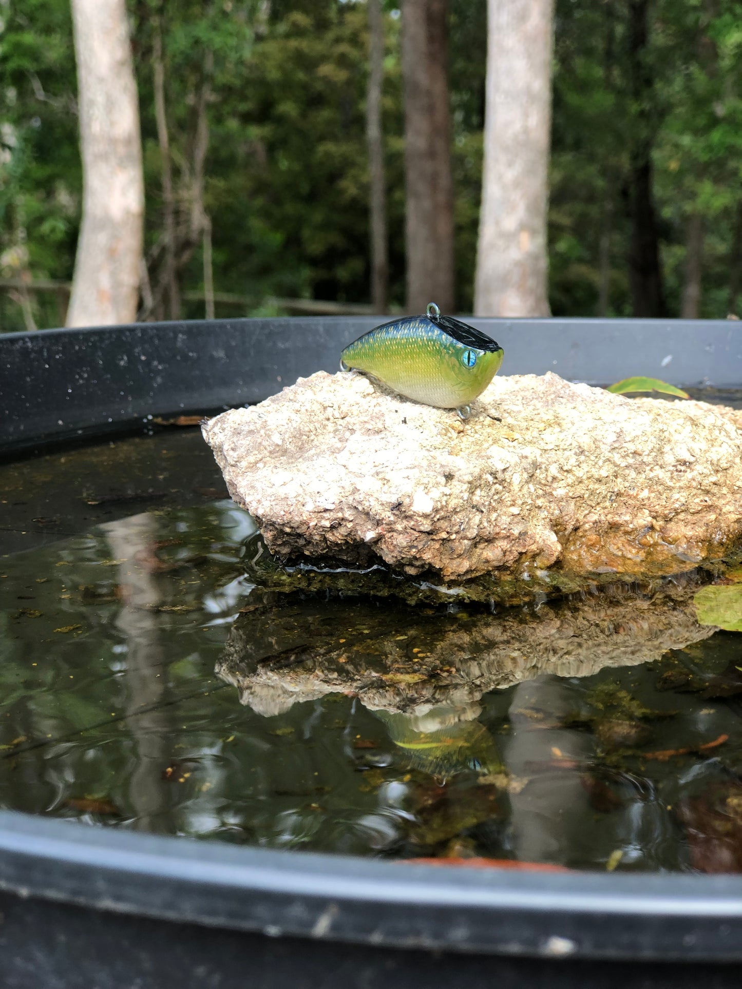 Custom Battle Paint Lures