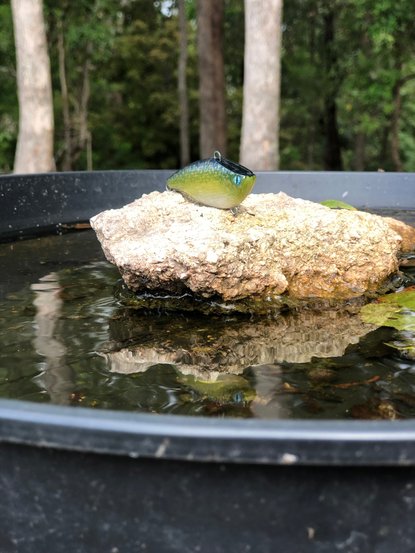 Custom Battle Paint Lures