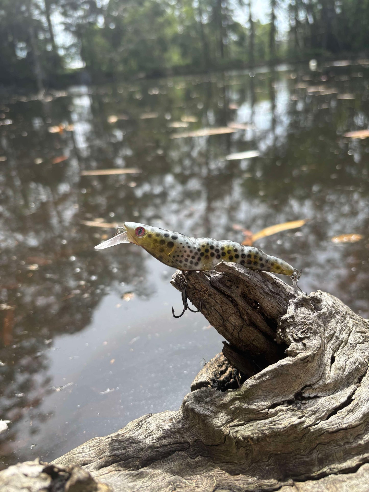 PREDATOR PRAWN