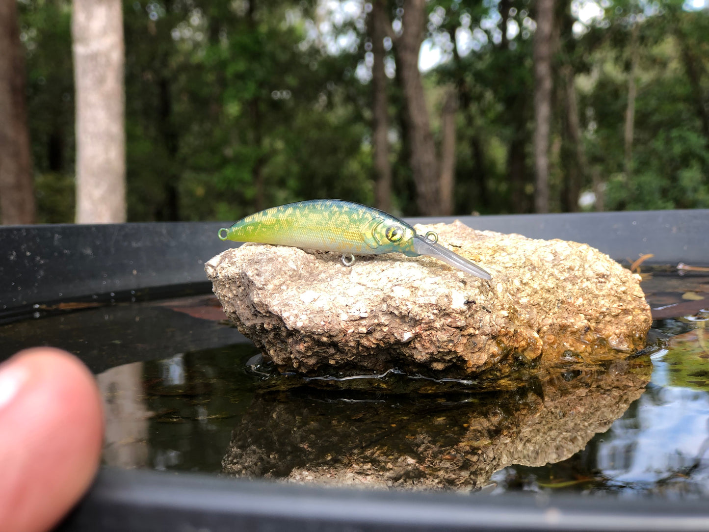 Custom Battle Paint Lures
