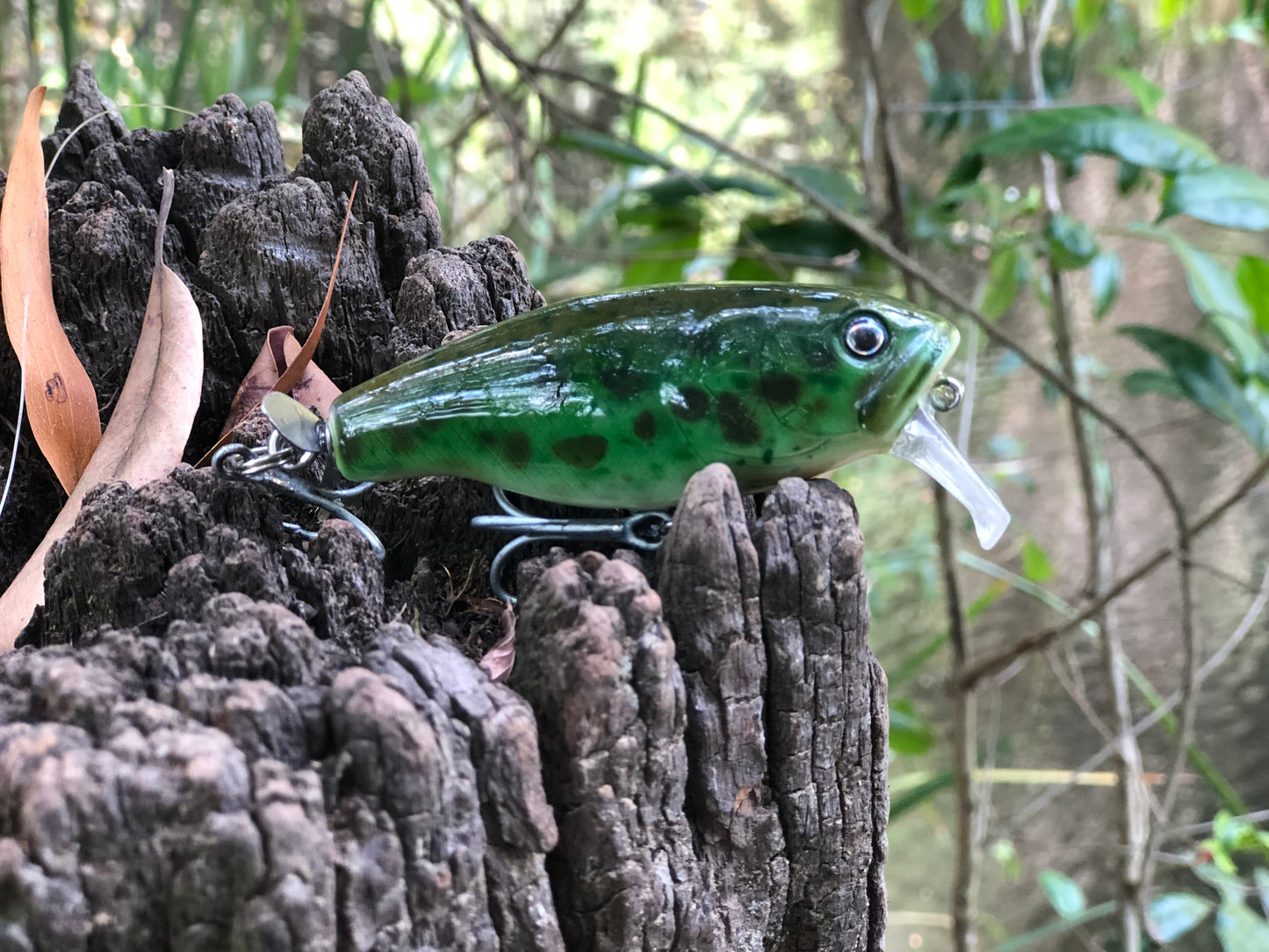 CUSTOM BATTLE FROGS