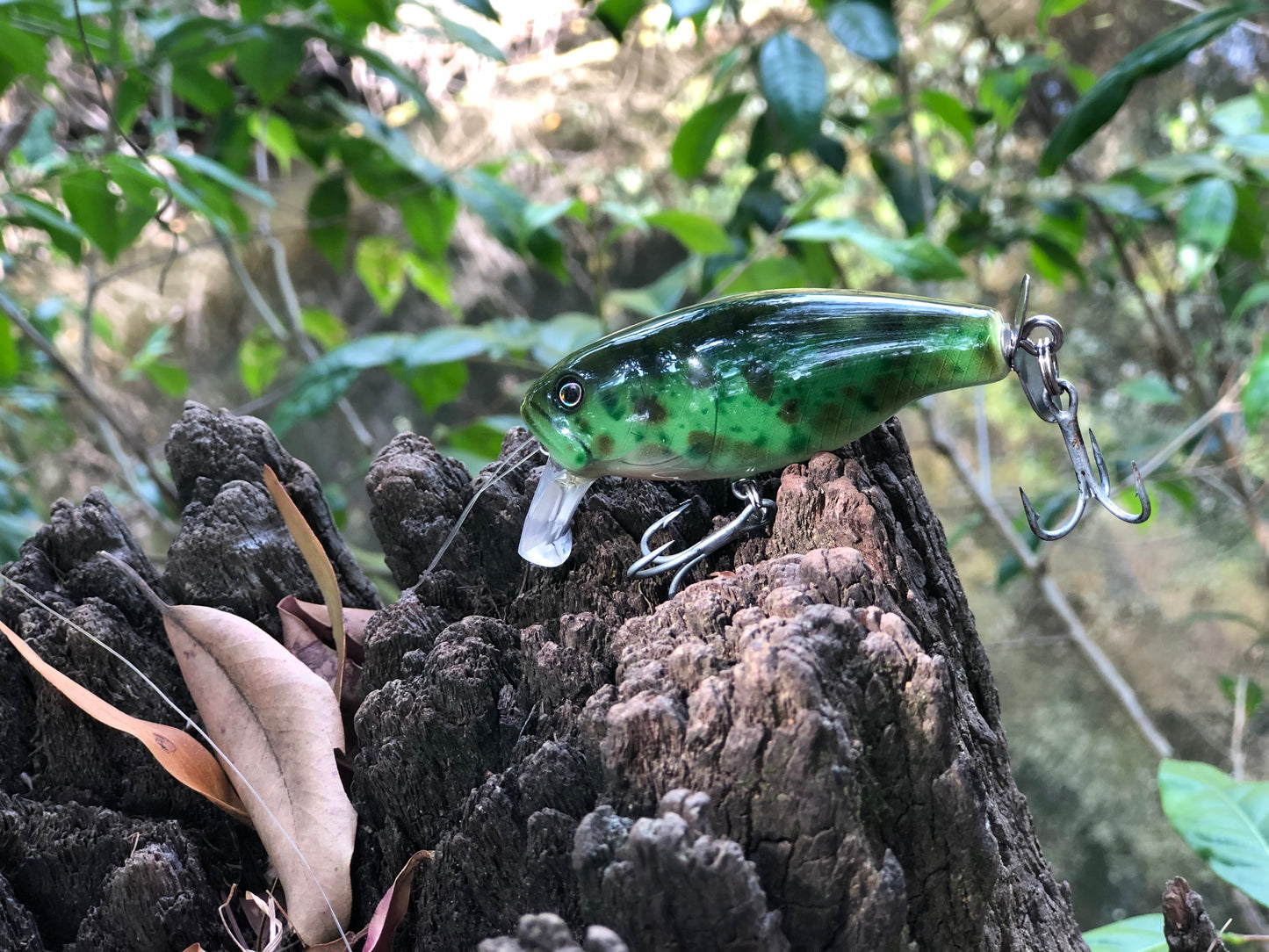 CUSTOM BATTLE FROGS