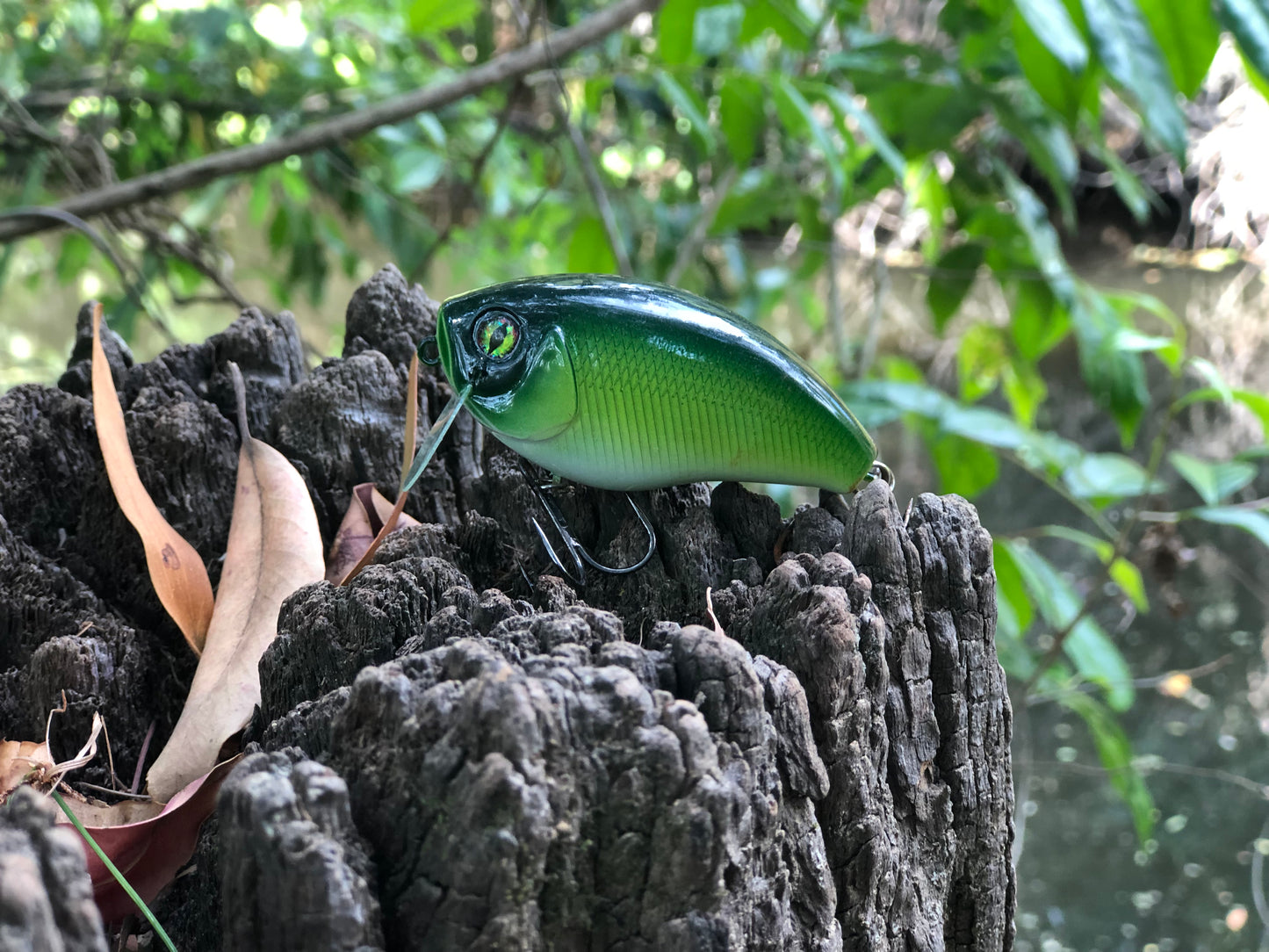 CUSTOM BATTLE FROGS