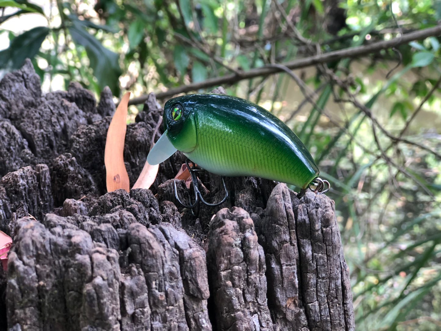 CUSTOM BATTLE FROGS