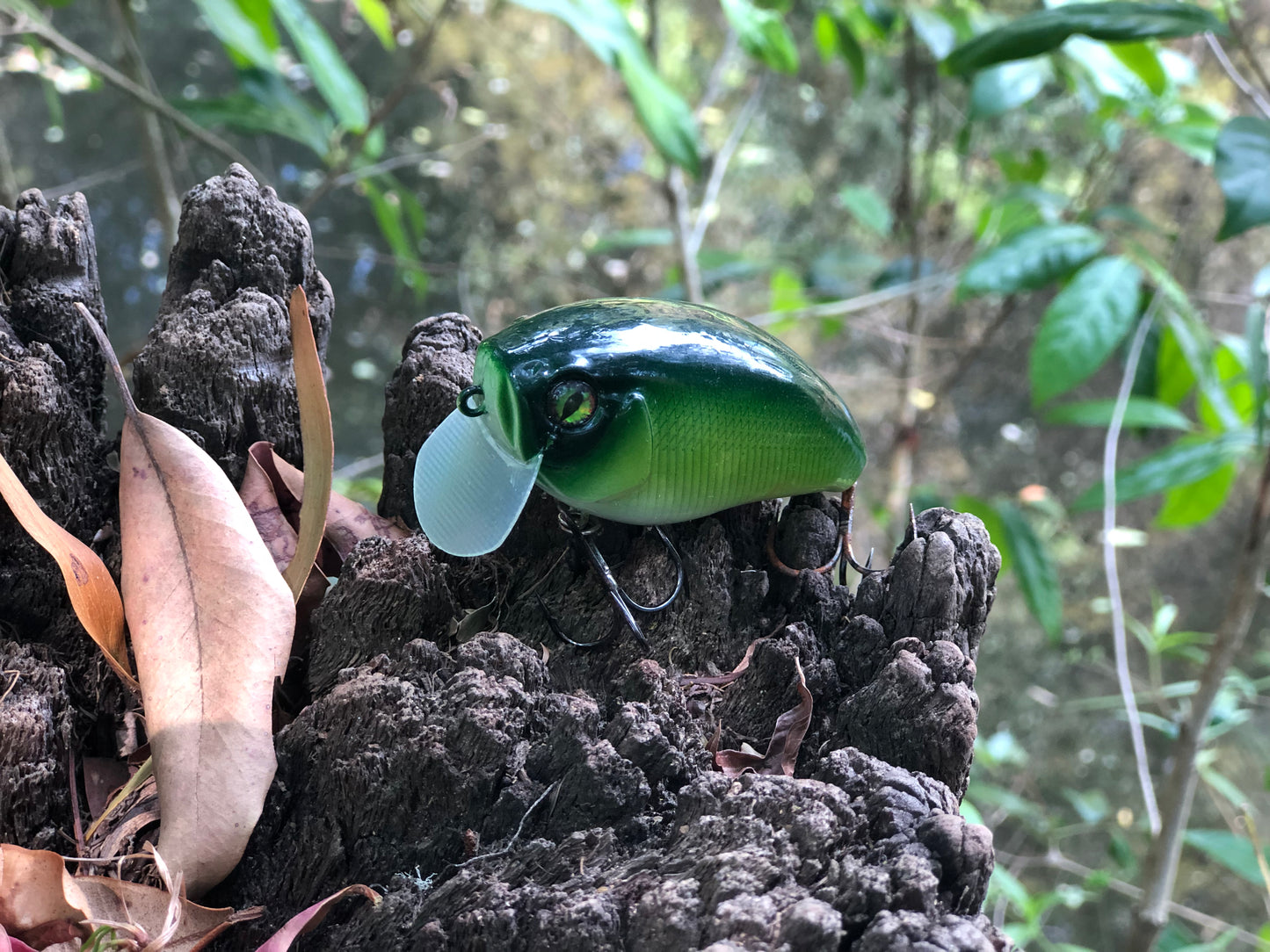 CUSTOM BATTLE FROGS