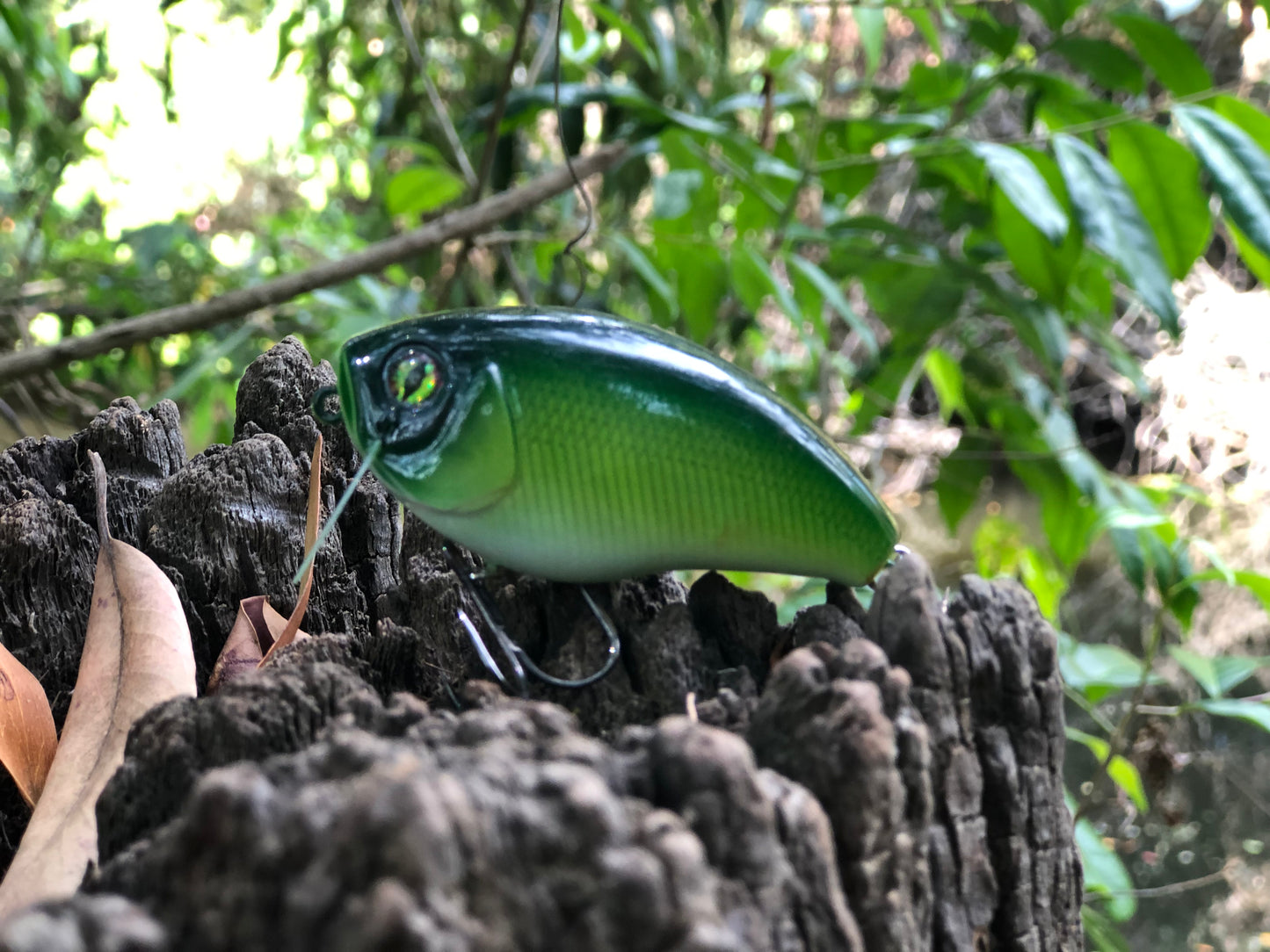 CUSTOM BATTLE FROGS