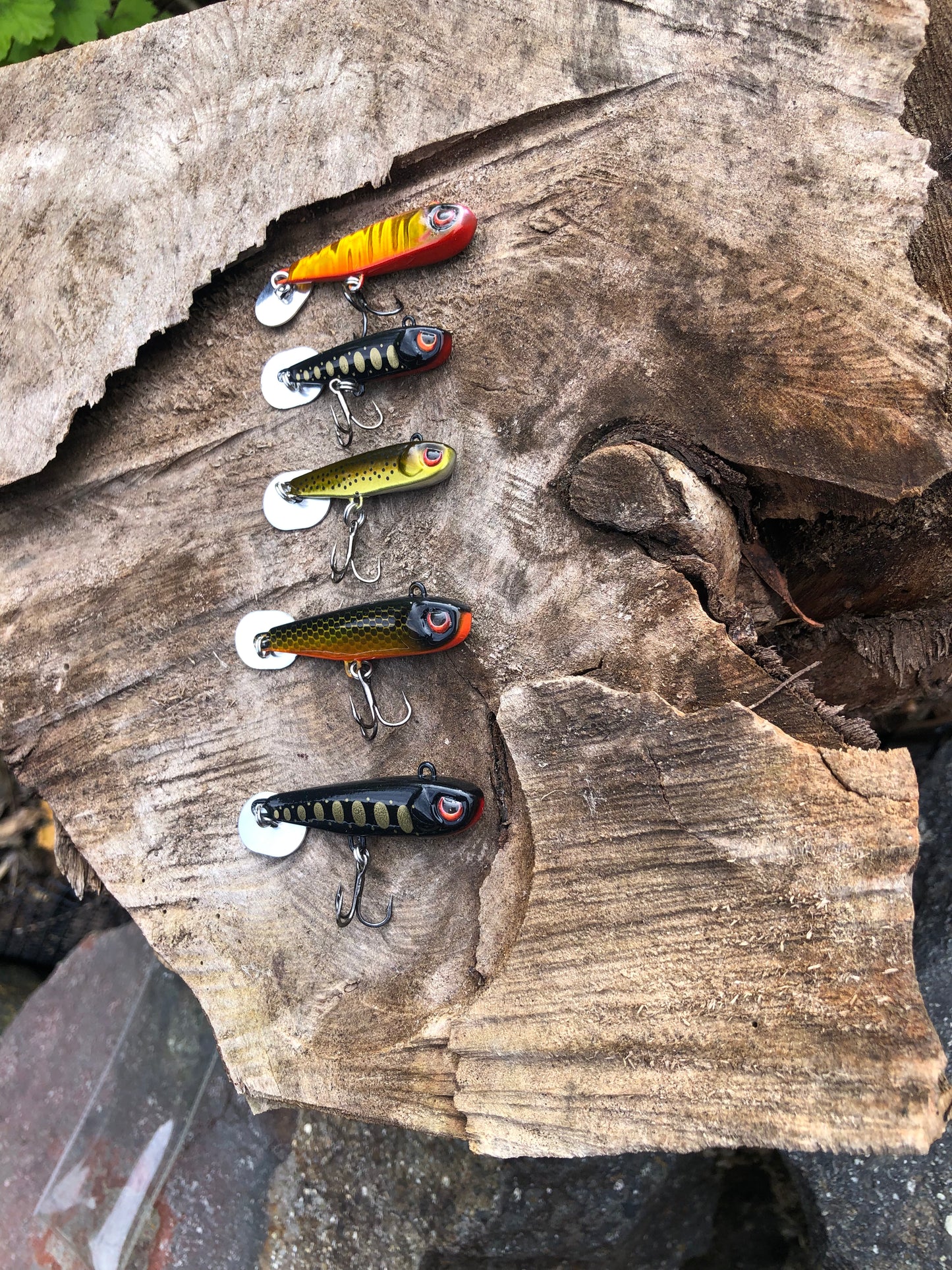 KNOCKER TAIL GUPPY