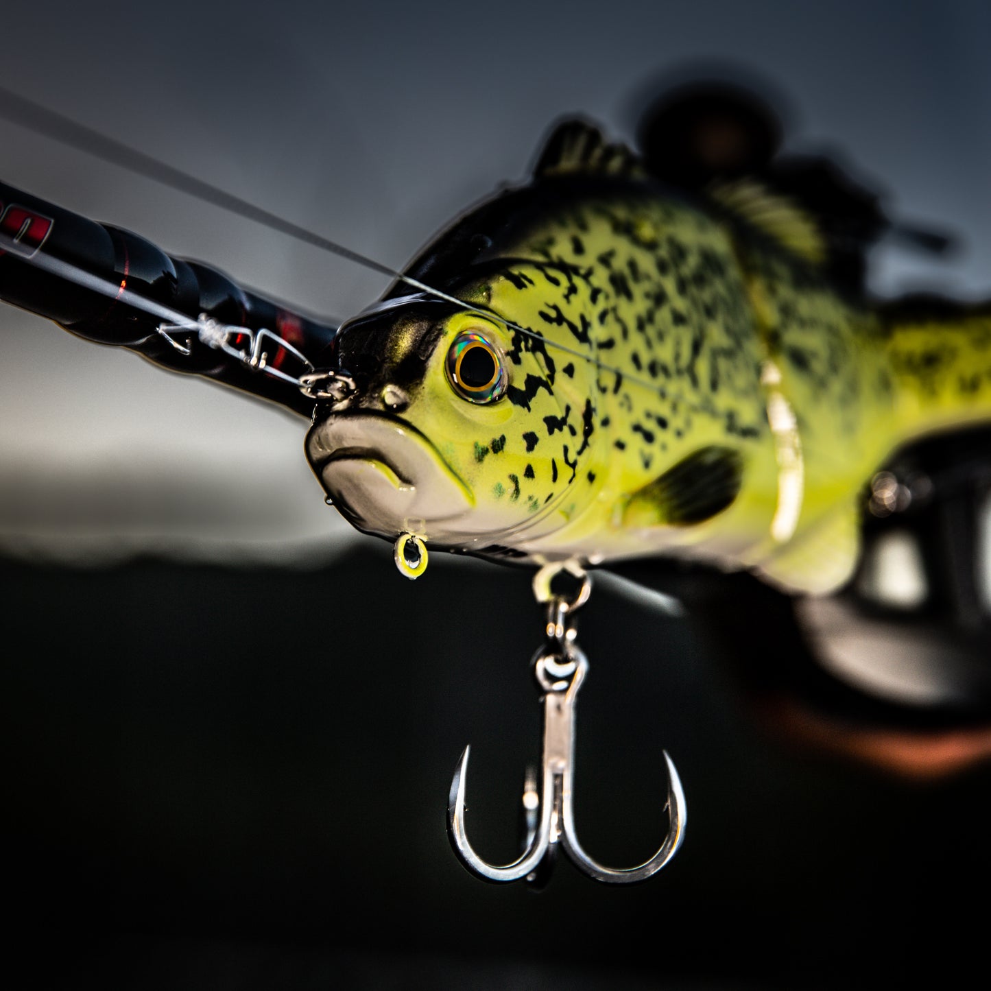 MY FISHING PLACE COD LURES