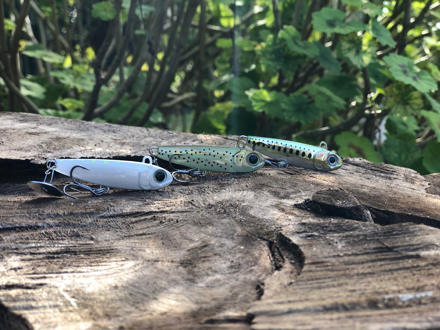 KNOCKER TAIL GUPPY