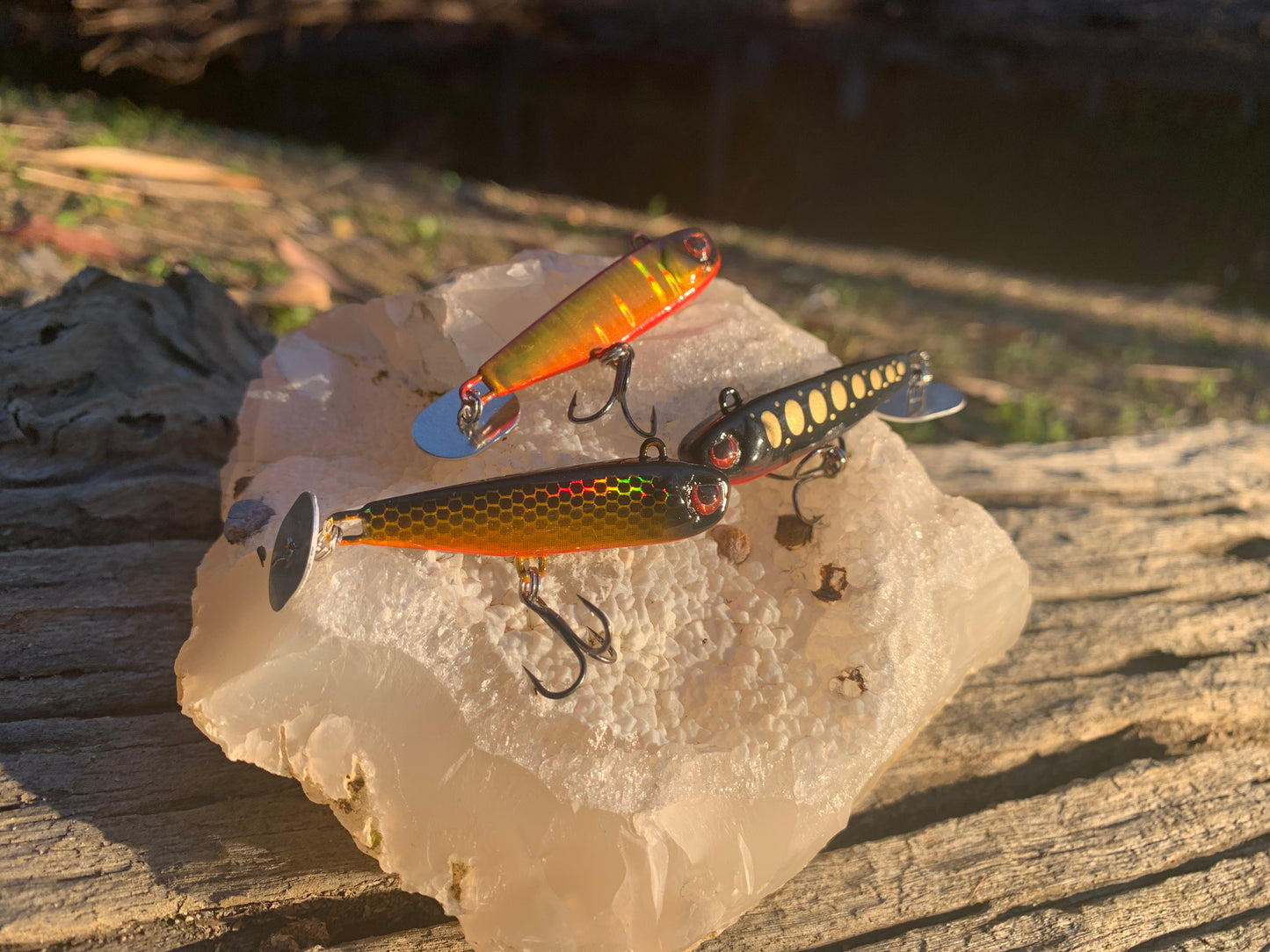 KNOCKER TAIL GUPPY