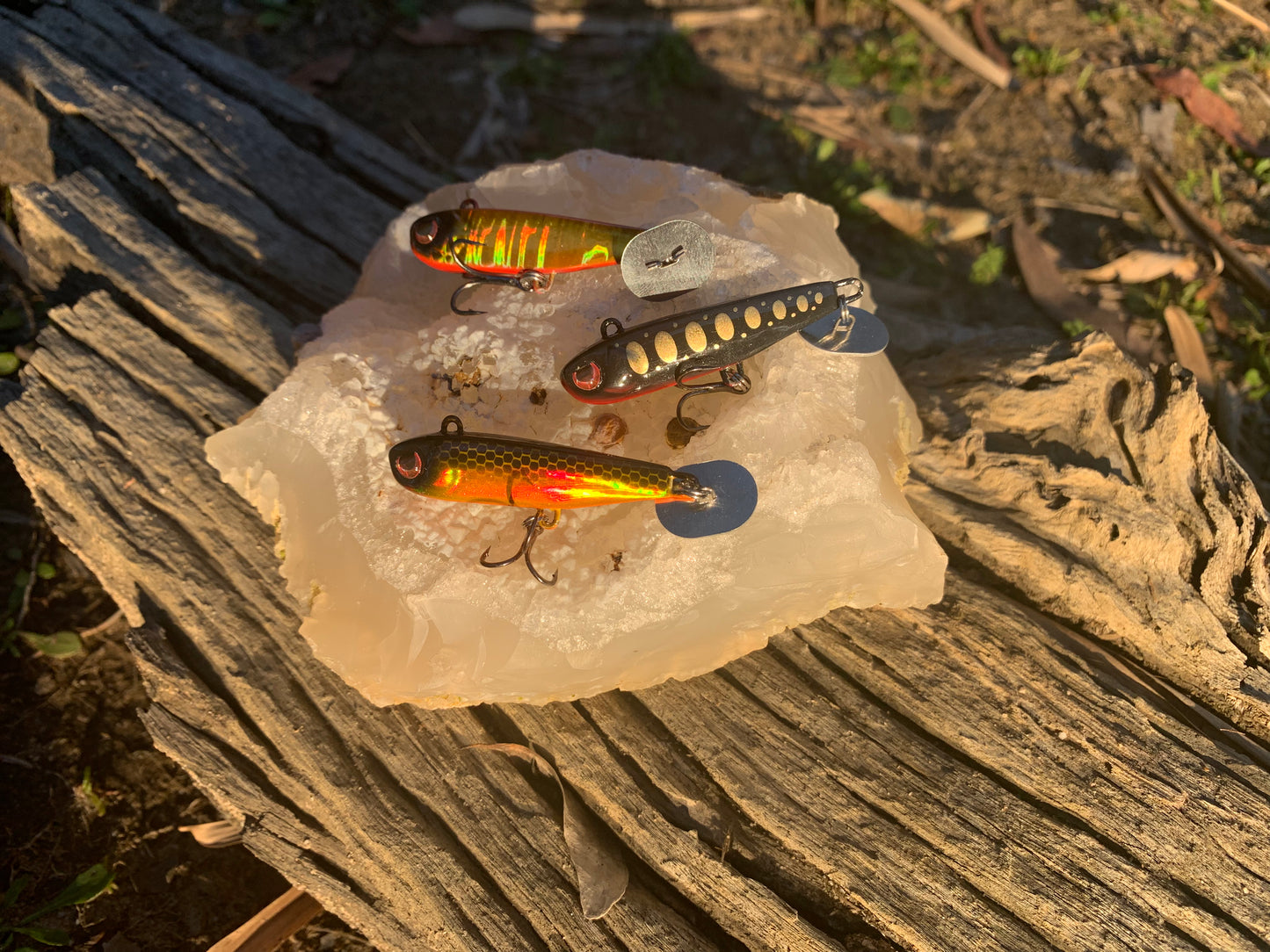 KNOCKER TAIL GUPPY