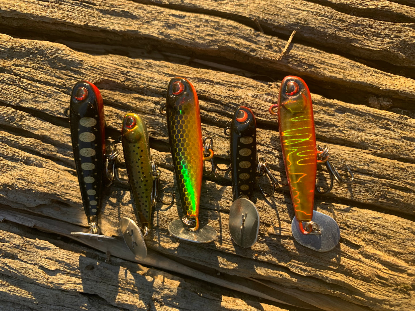 KNOCKER TAIL GUPPY