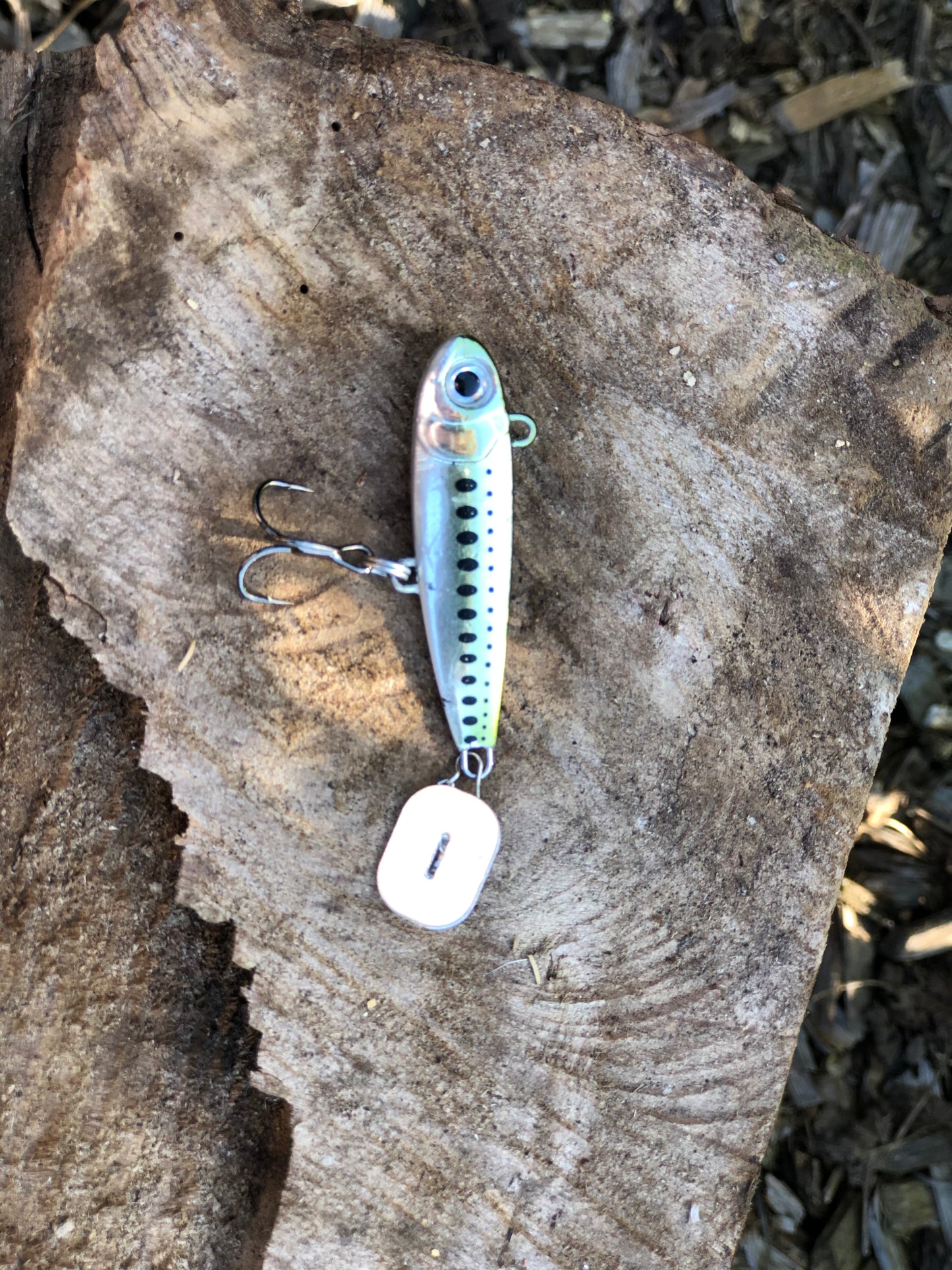 KNOCKER TAIL GUPPY