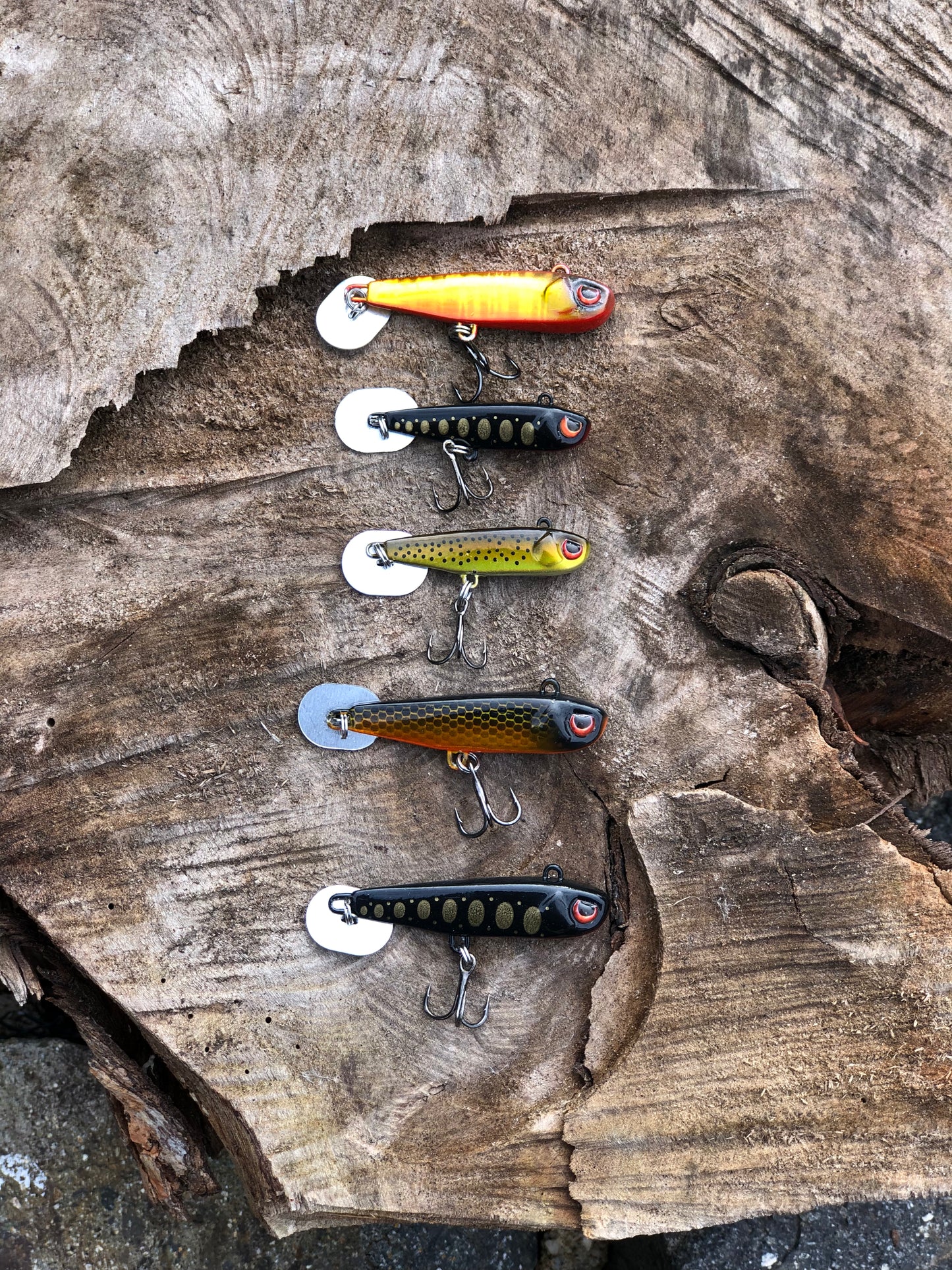 KNOCKER TAIL GUPPY
