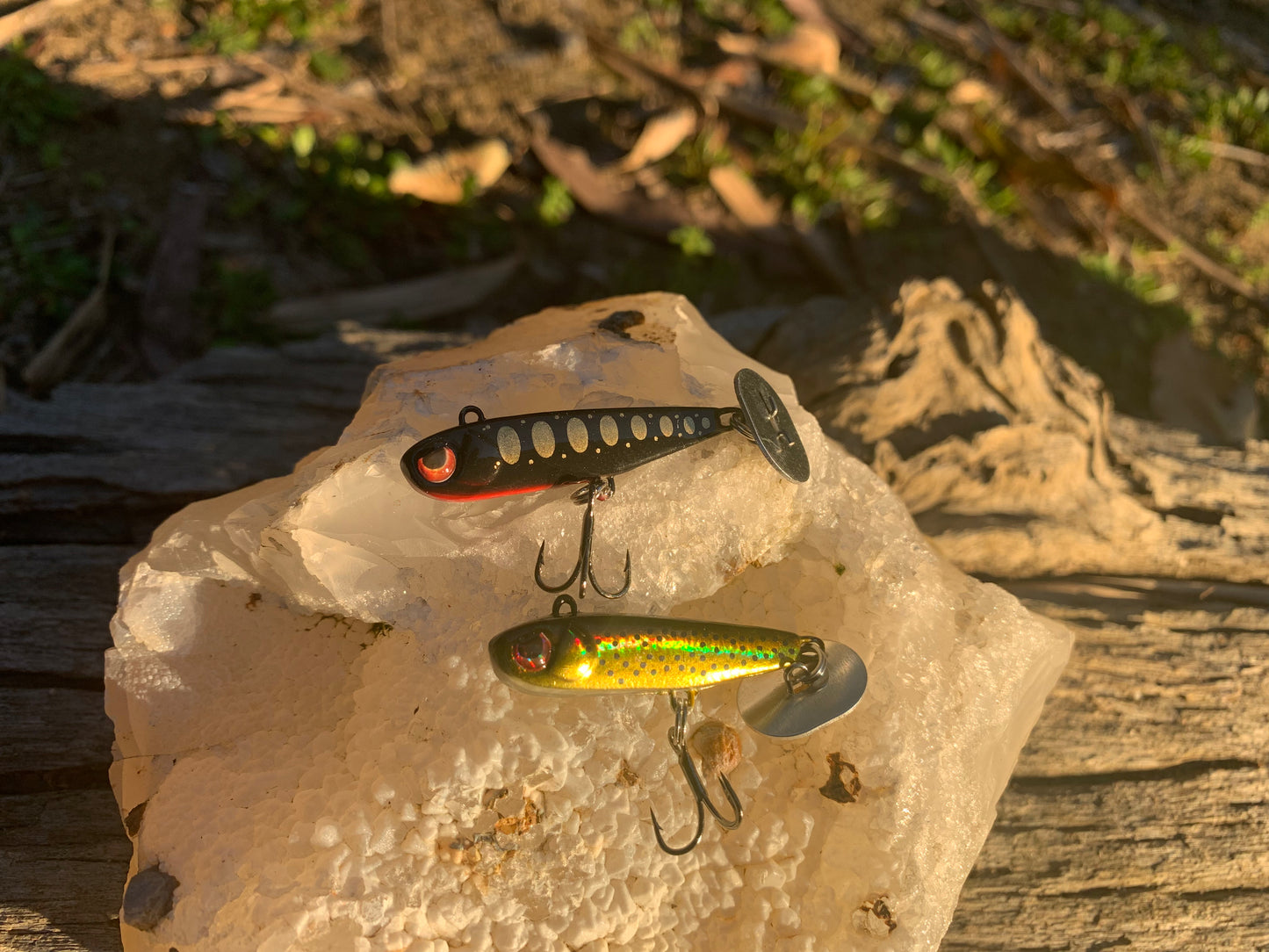 KNOCKER TAIL GUPPY
