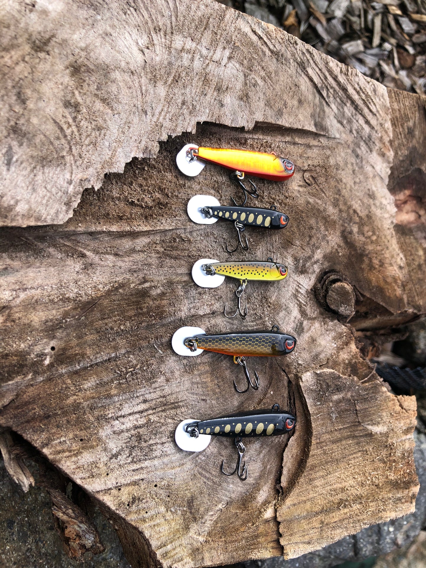 KNOCKER TAIL GUPPY