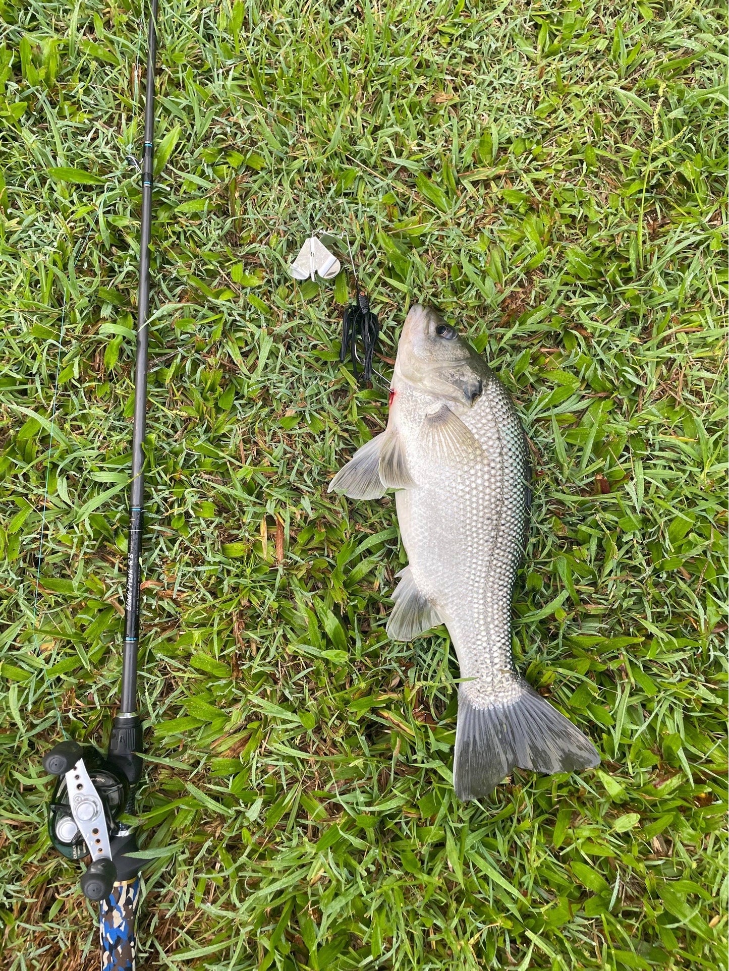 BATTLE YAK BUZZ BAIT
