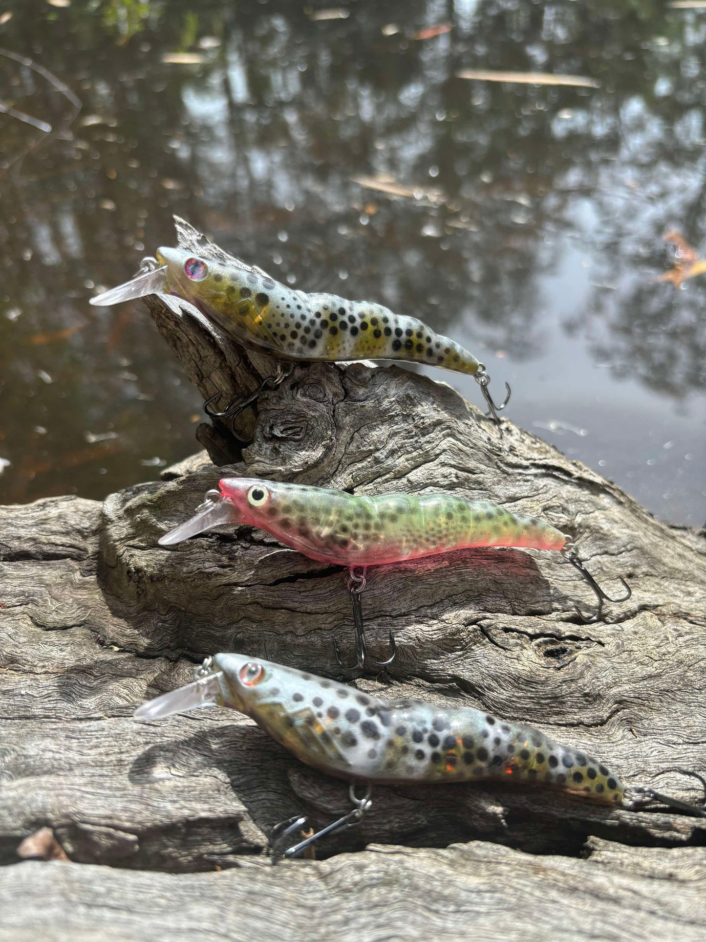 PREDATOR PRAWN