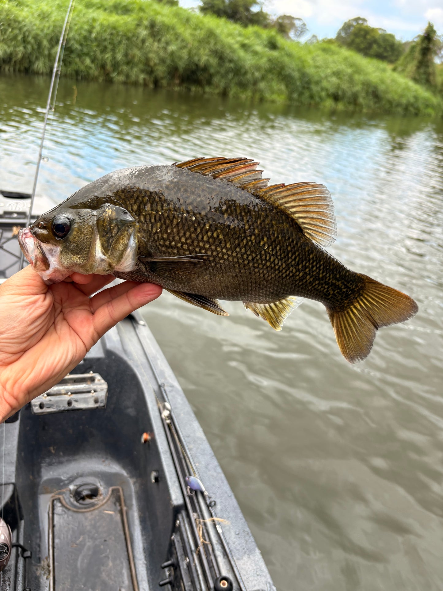 APEX VIBES LIPLESS CRANK