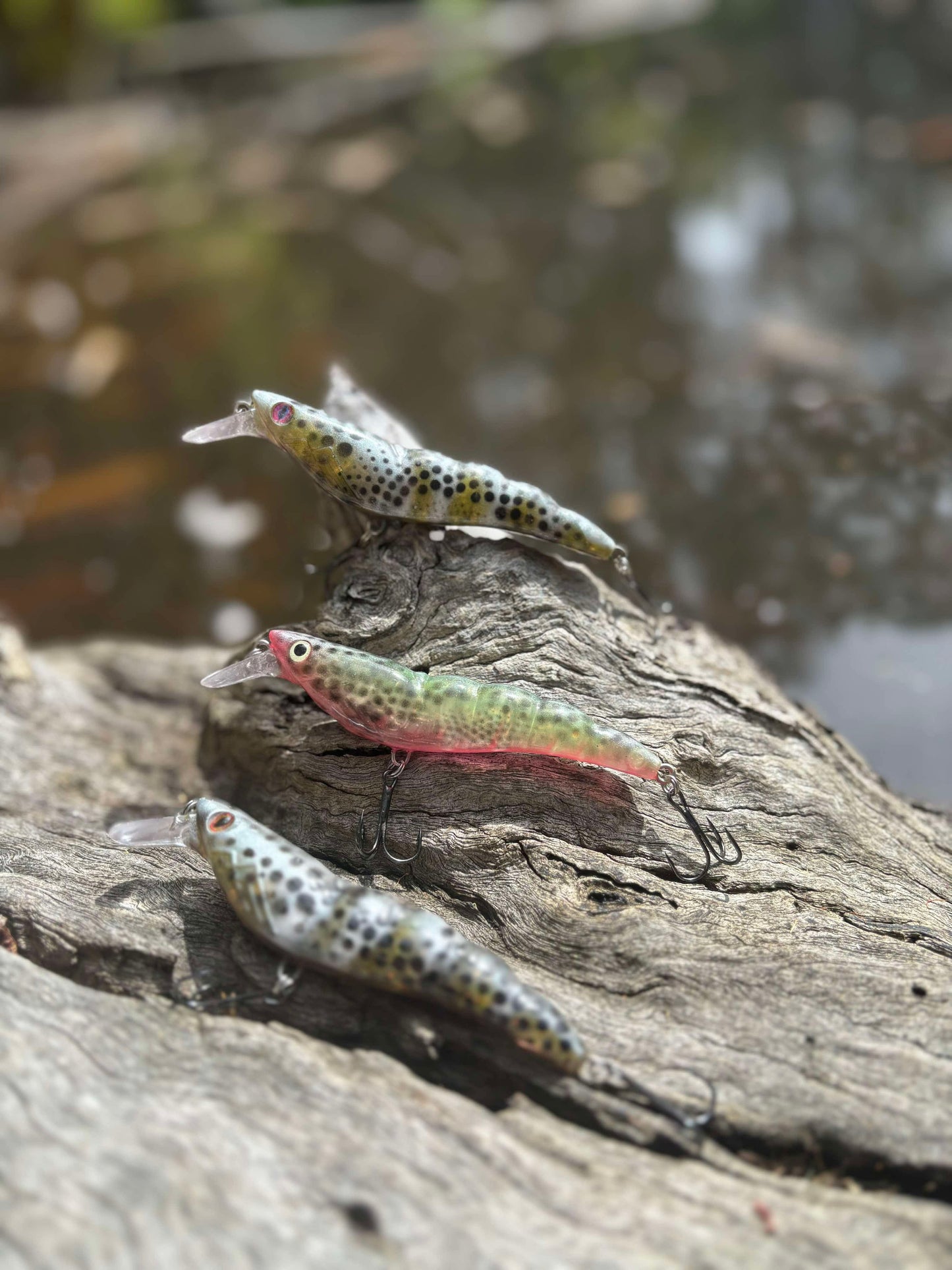 PREDATOR PRAWN