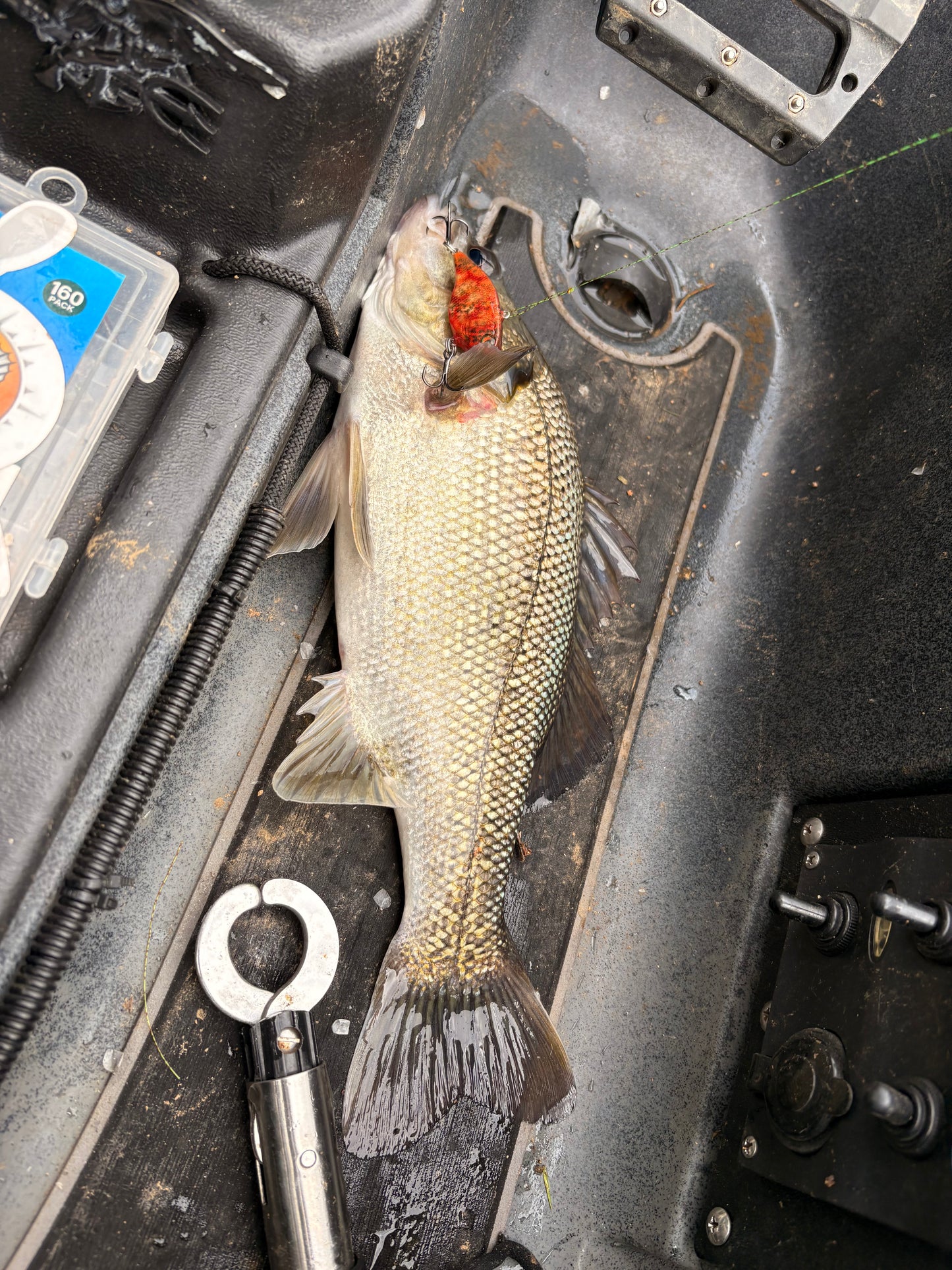 APEX VIBES LIPLESS CRANK