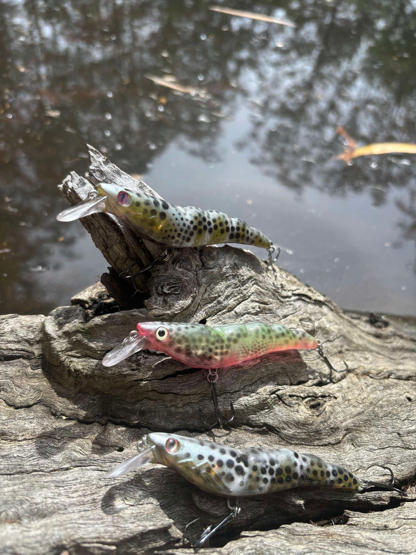 PREDATOR PRAWN