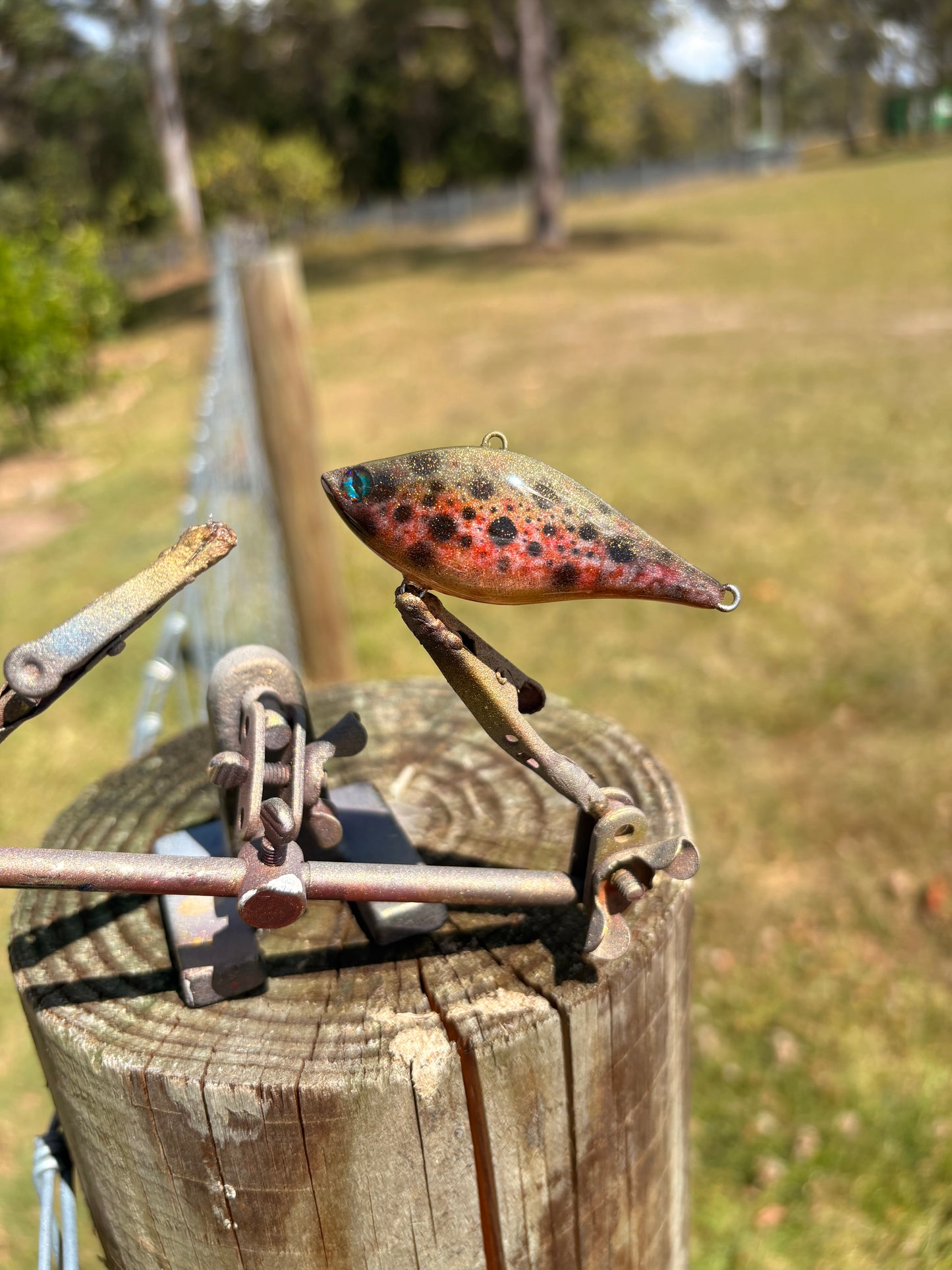Custom Battle Paint Lures