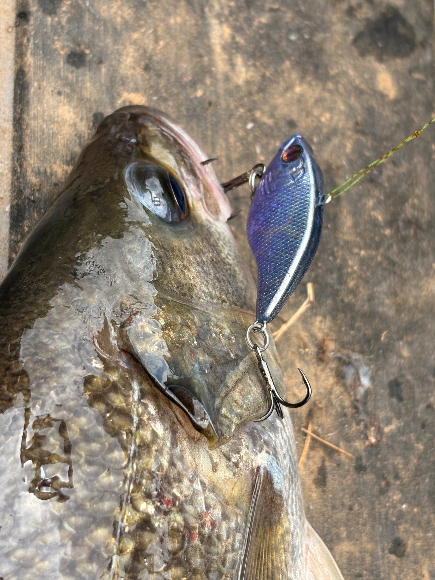 APEX VIBES LIPLESS CRANK