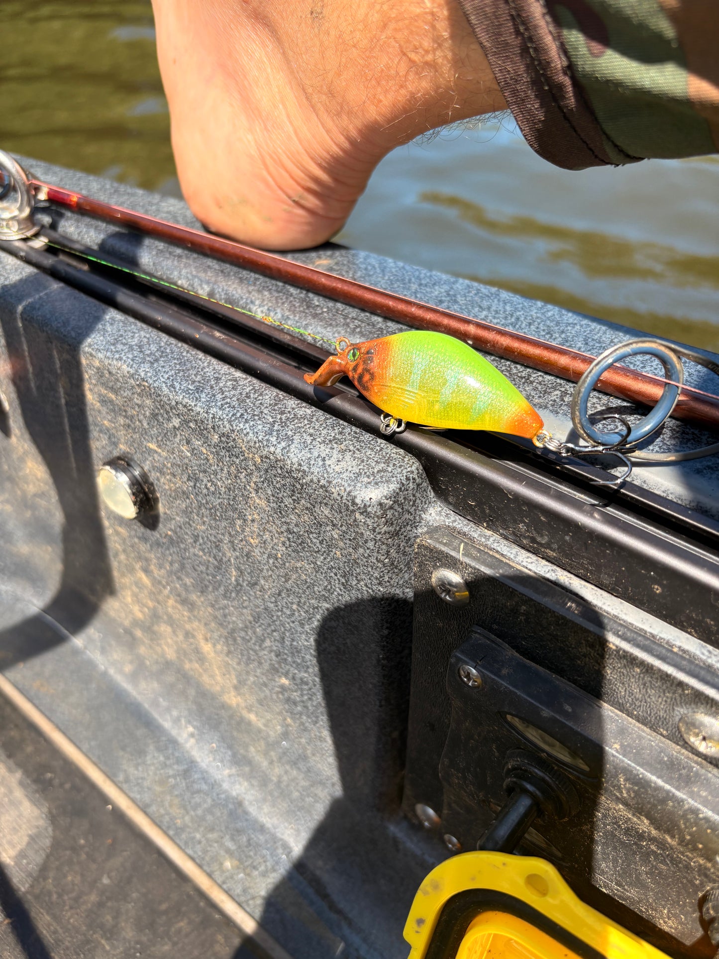 BLOODED MINNOW