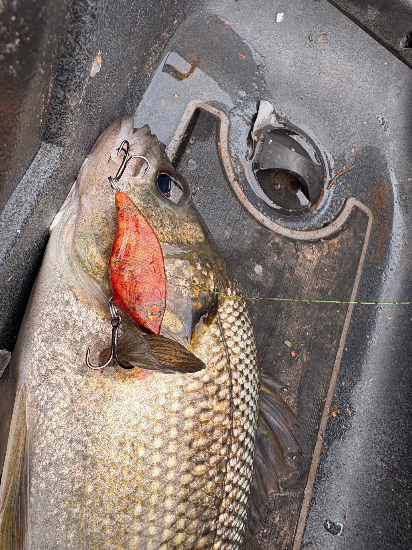 APEX VIBES LIPLESS CRANK