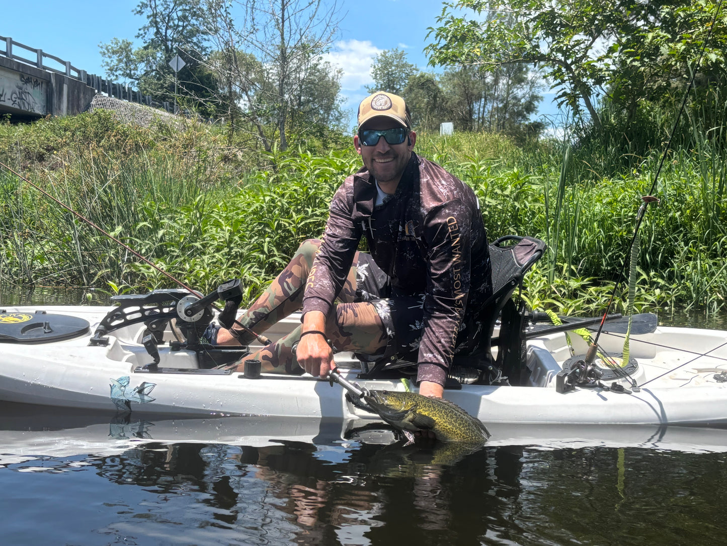 BLOODED MINNOW