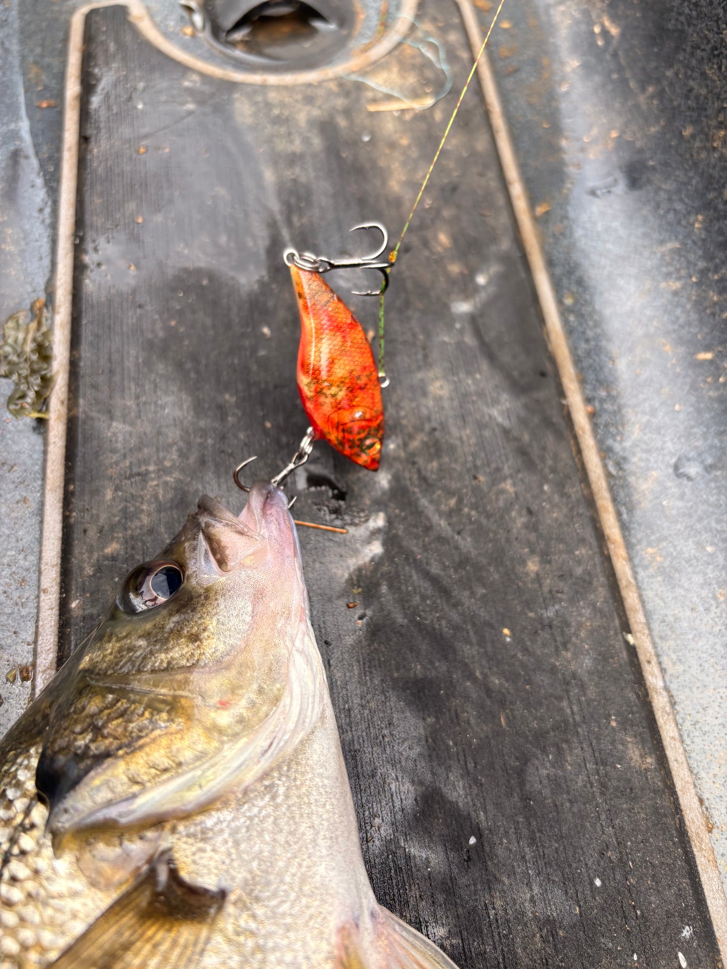 APEX VIBES LIPLESS CRANK