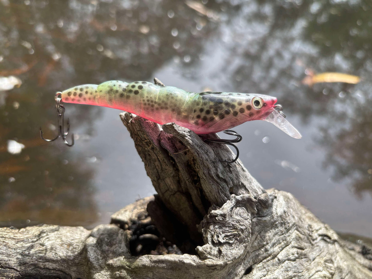 PREDATOR PRAWN