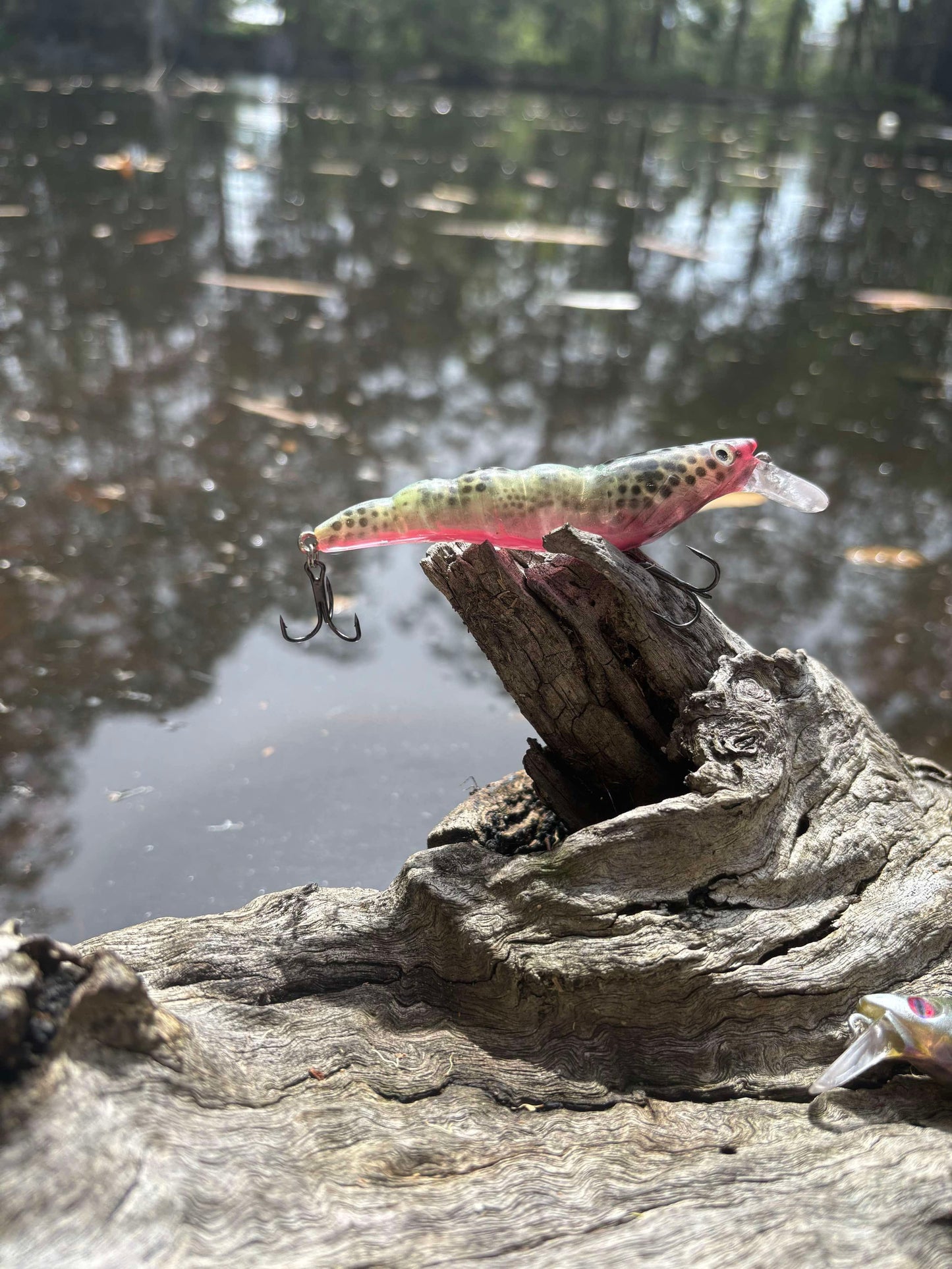 PREDATOR PRAWN