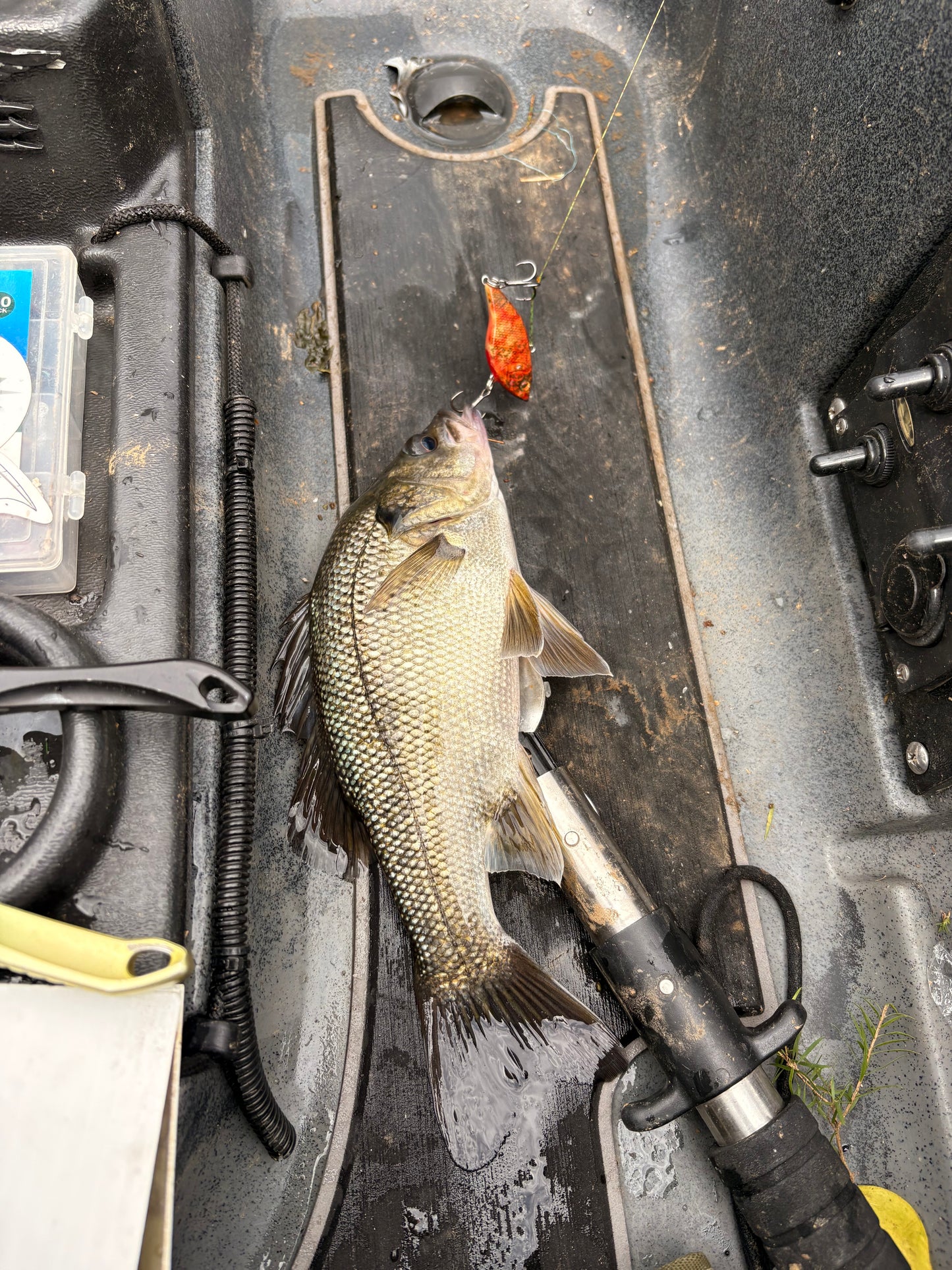 APEX VIBES LIPLESS CRANK
