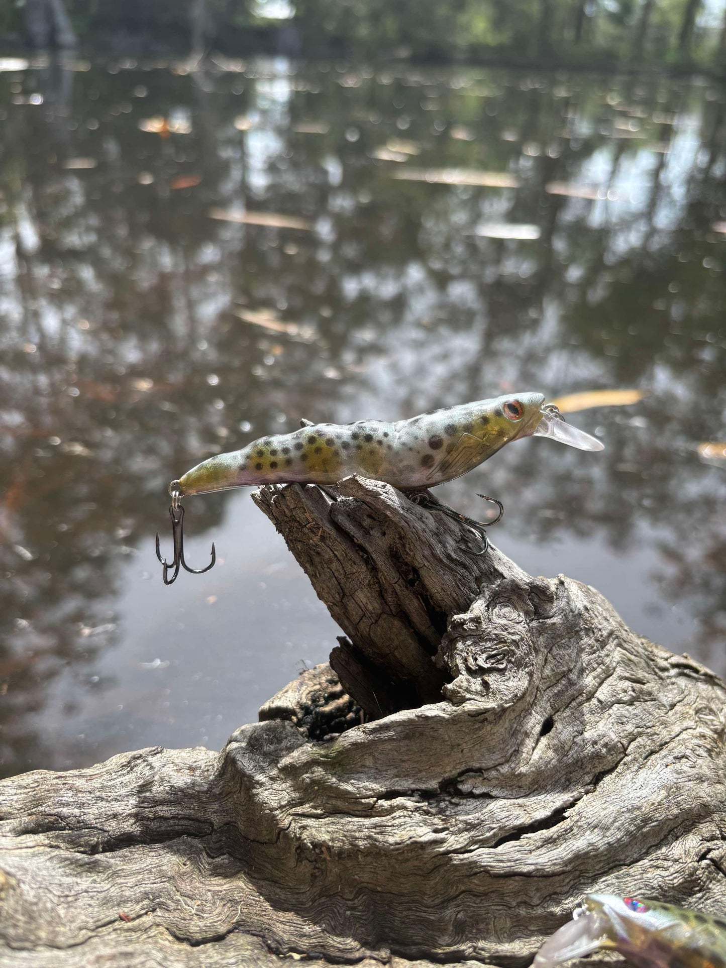 PREDATOR PRAWN