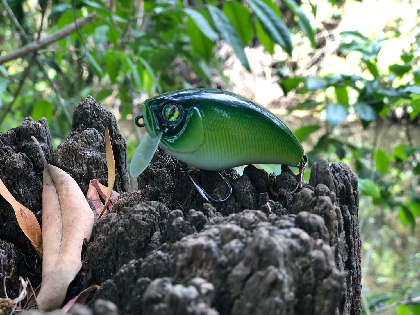CUSTOM BATTLE FROGS