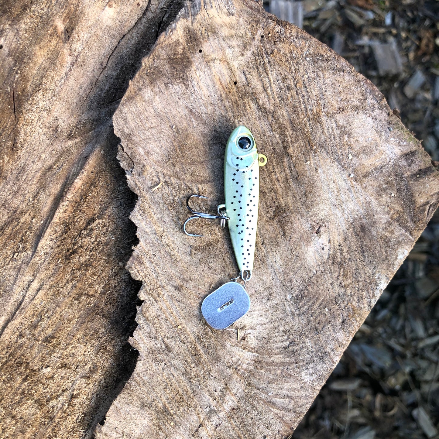 KNOCKER TAIL GUPPY