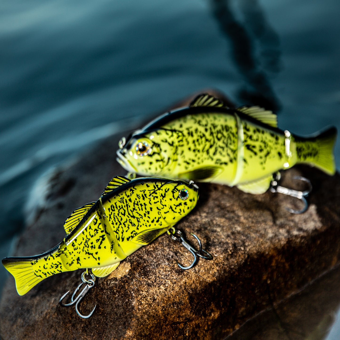 MY FISHING PLACE COD LURES