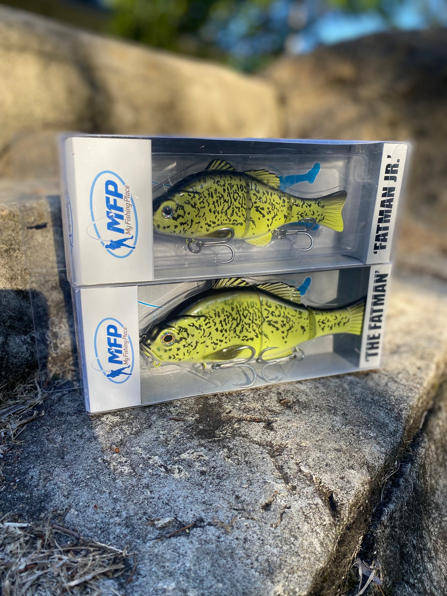 MY FISHING PLACE COD LURES